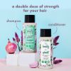 Picture of Love Beauty & Planet Onion, Black Seed & Patchouli Hairfall Control Shampoo | Sulfate Free, 200ml